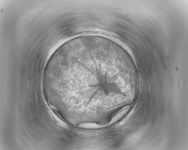 X0000087001533200705141753