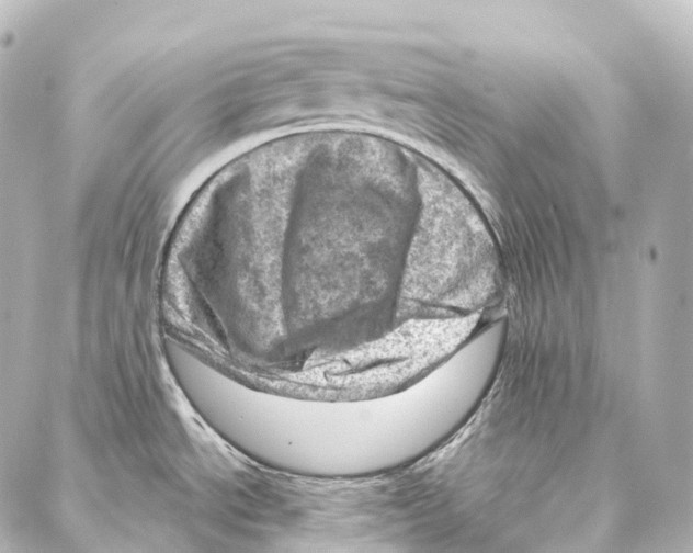 X0000087001534200705141753