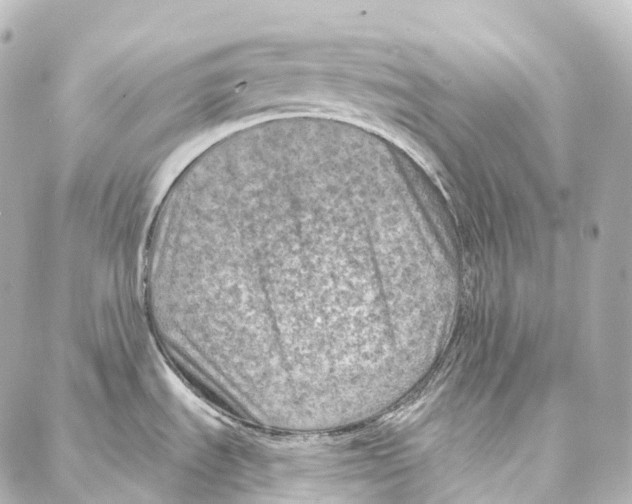 X0000087001535200705141753