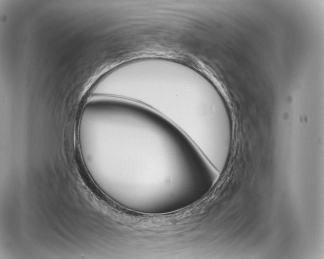 X0000087010011200704161319
