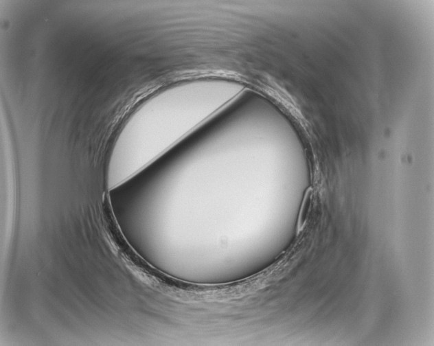 X0000087010013200704161319