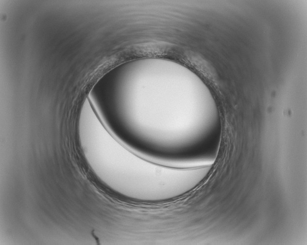 X0000087010021200704161319