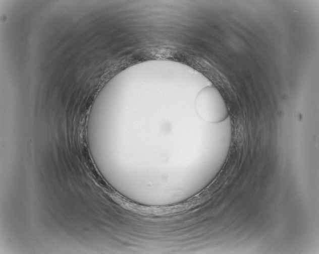 X0000087010030200704161319