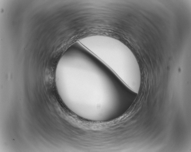 X0000087010040200704161319