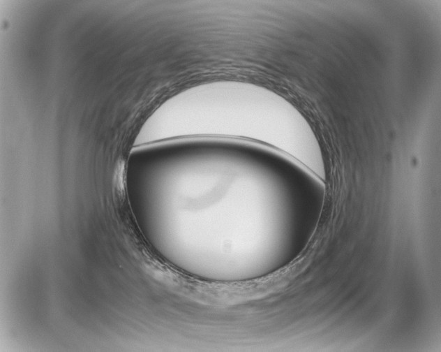 X0000087010041200704161319