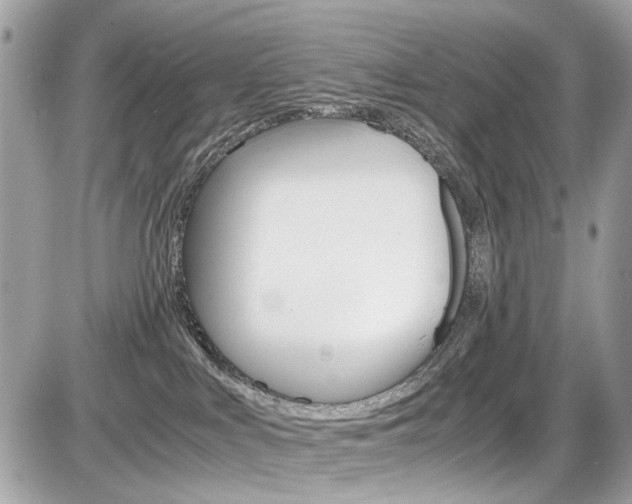 X0000087010043200704161319