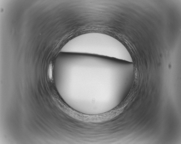 X0000087010046200704161319