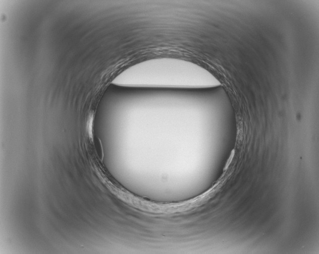 X0000087010047200704161319