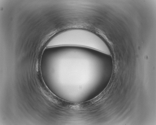 X0000087010068200704161318