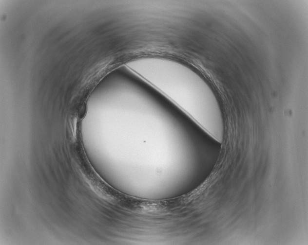 X0000087010070200704161318