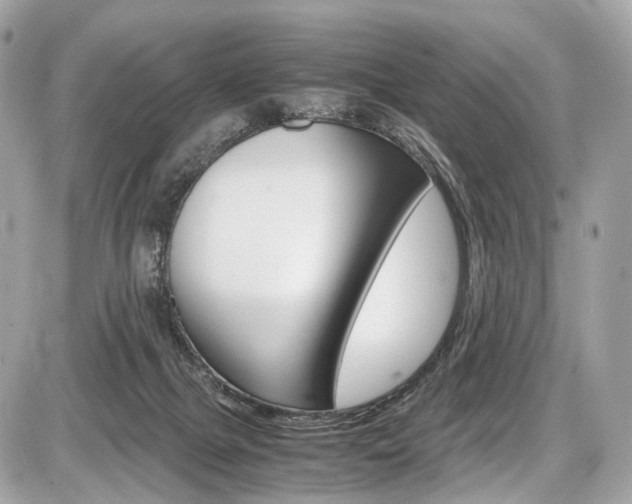 X0000087010073200704161318