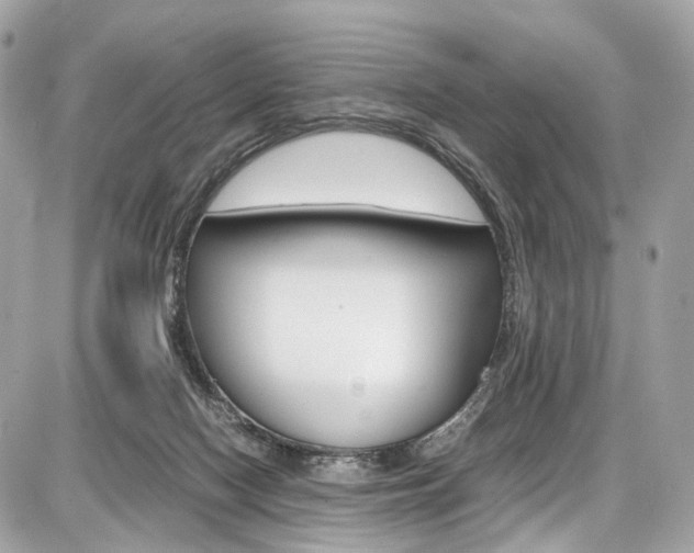 X0000087010074200704161318