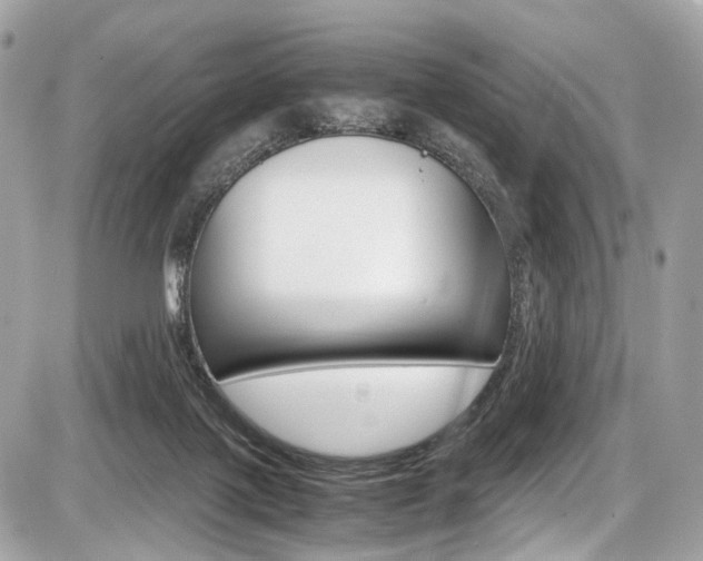 X0000087010075200704161318