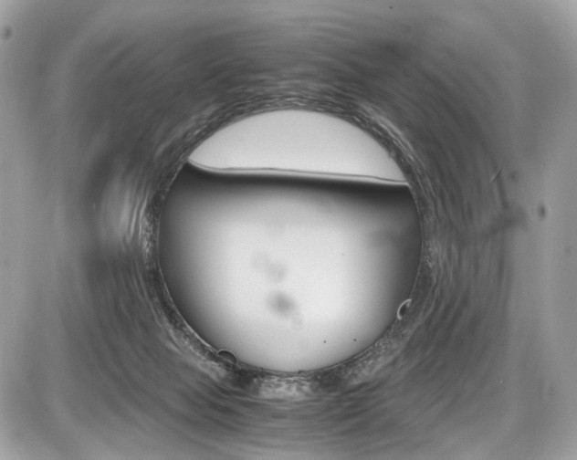X0000087010077200704161318