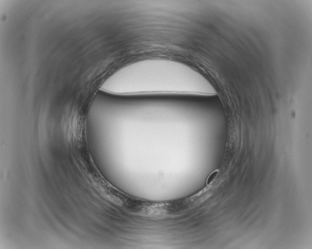 X0000087010078200704161318