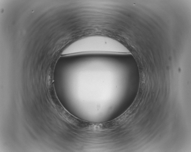 X0000087010080200704161318