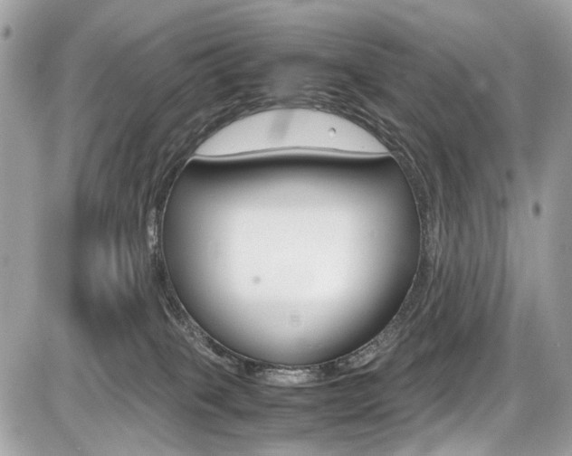 X0000087010085200704161318