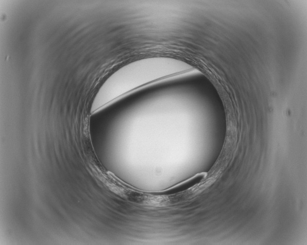 X0000087010096200704161318