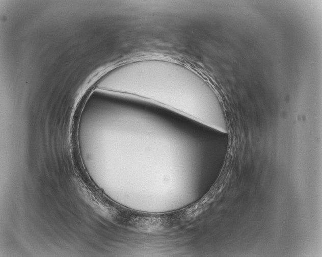 X0000087010104200704161317