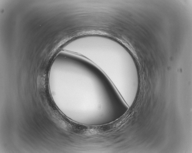 X0000087010111200704161317