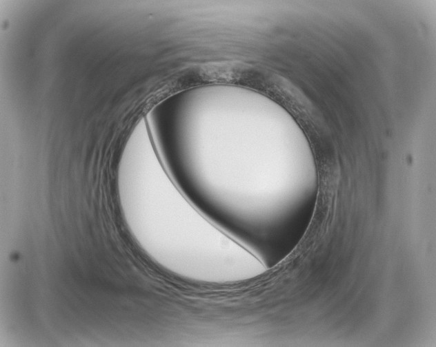 X0000087010125200704161317