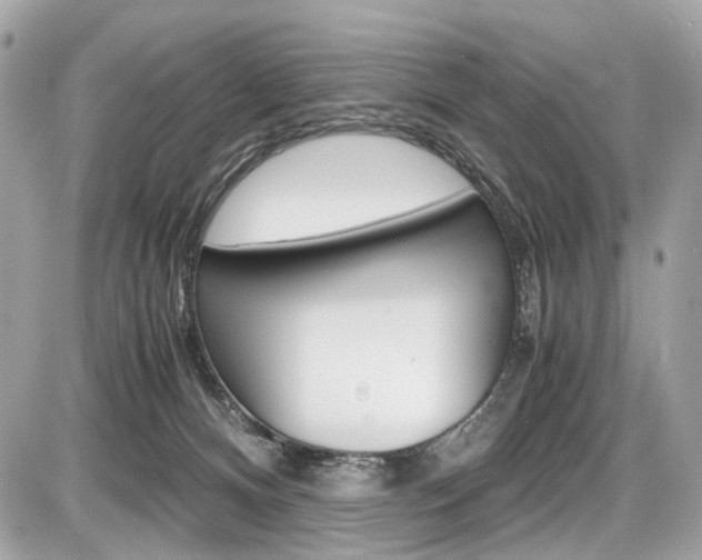 X0000087010128200704161317