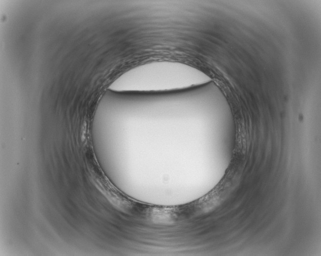 X0000087010134200704161317
