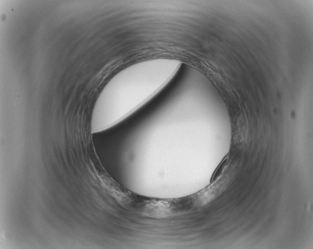 X0000087010140200704161317