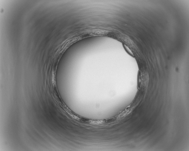 X0000087010143200704161317