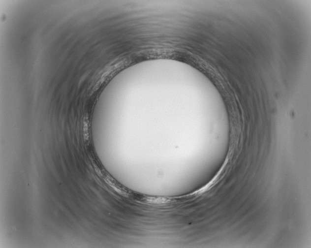 X0000087010144200704161317