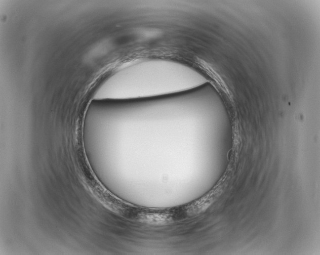 X0000087010163200704161316