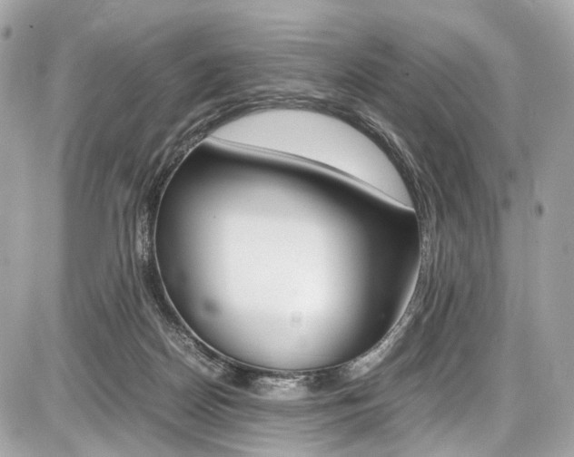 X0000087010170200704161316
