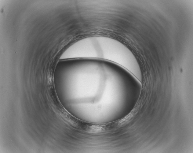 X0000087010176200704161316