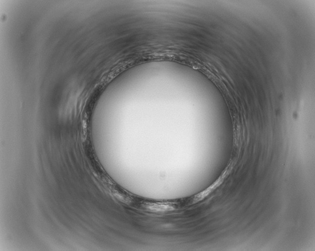 X0000087010183200704161317