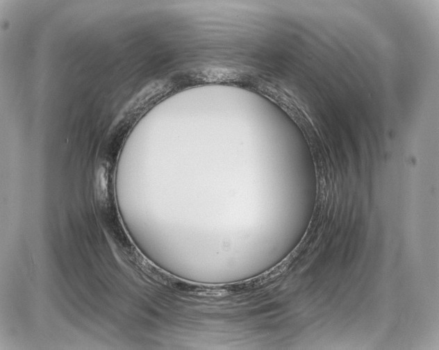 X0000087010214200704161316