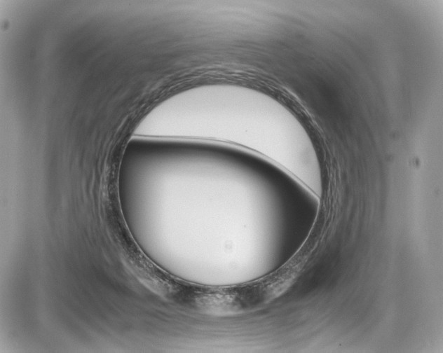 X0000087010217200704161315