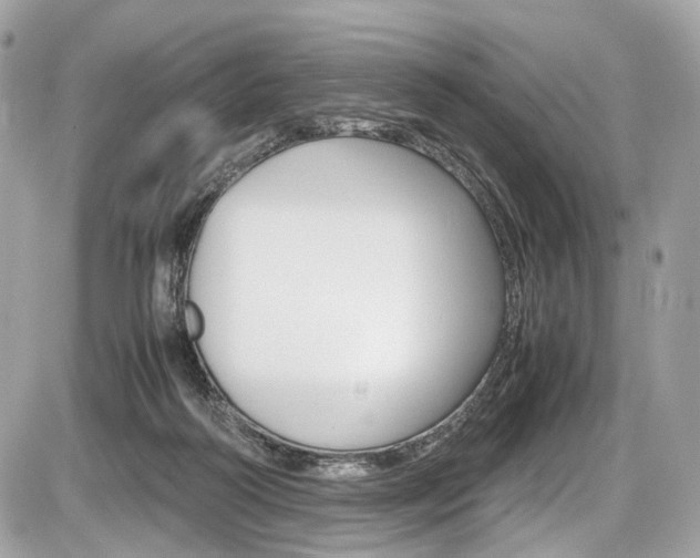 X0000087010218200704161315