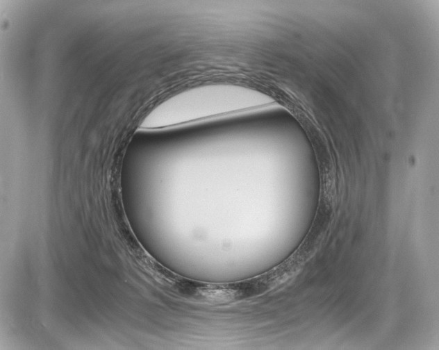 X0000087010221200704161315