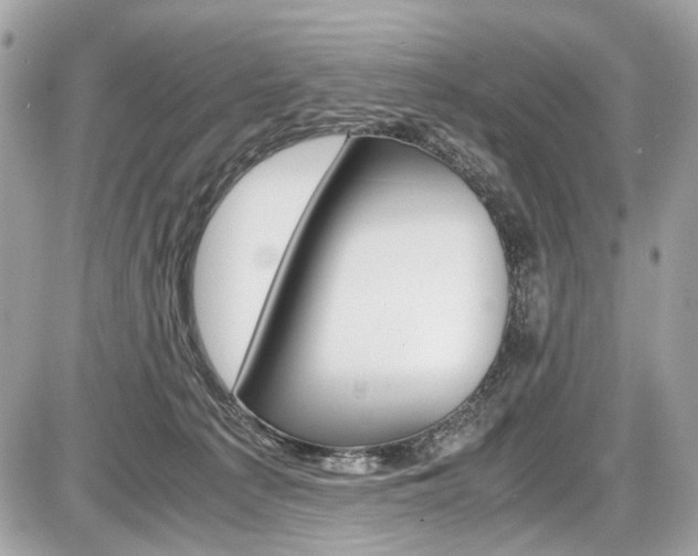 X0000087010225200704161315