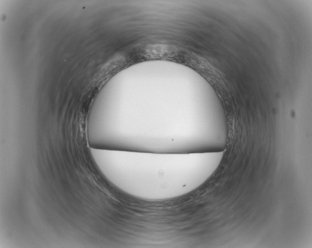 X0000087010226200704161315