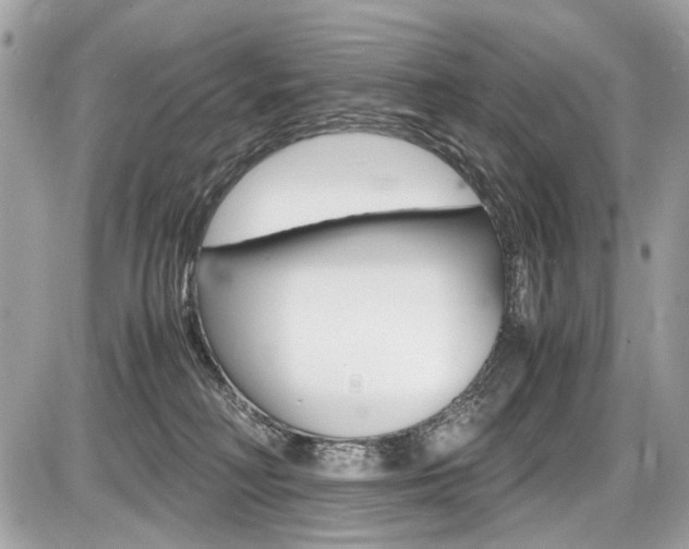 X0000087010230200704161315