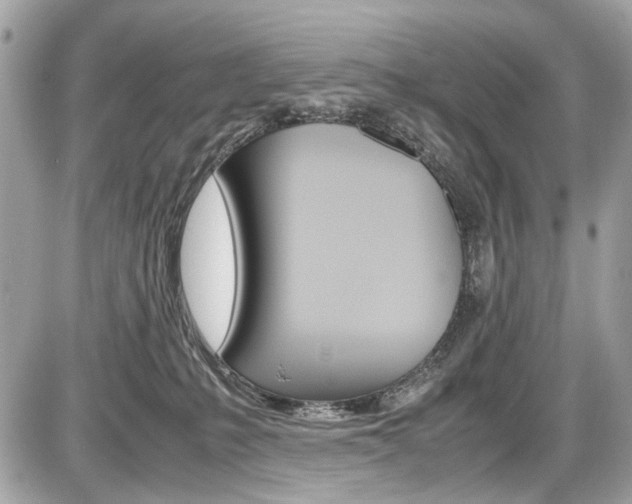 X0000087010231200704161315