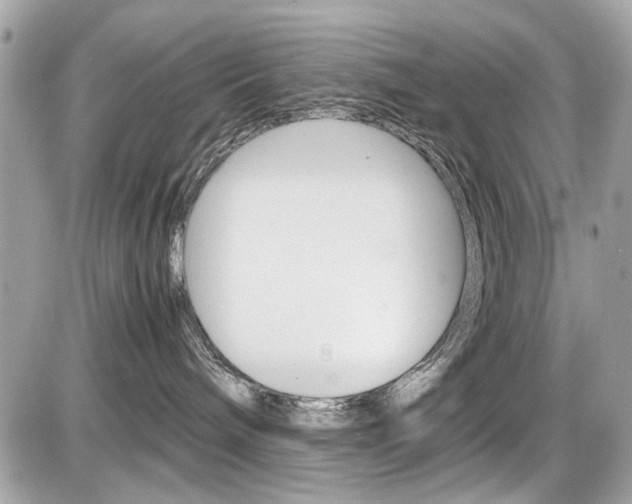 X0000087010240200704161315