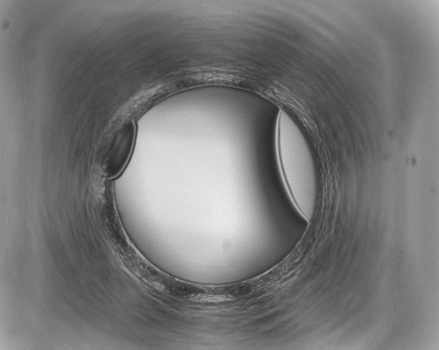 X0000087010255200704161314