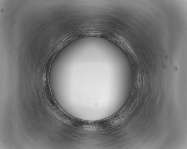 X0000087010259200704161314