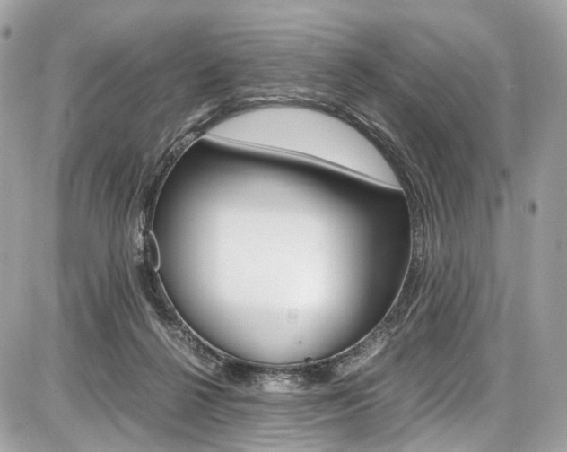 X0000087010264200704161315