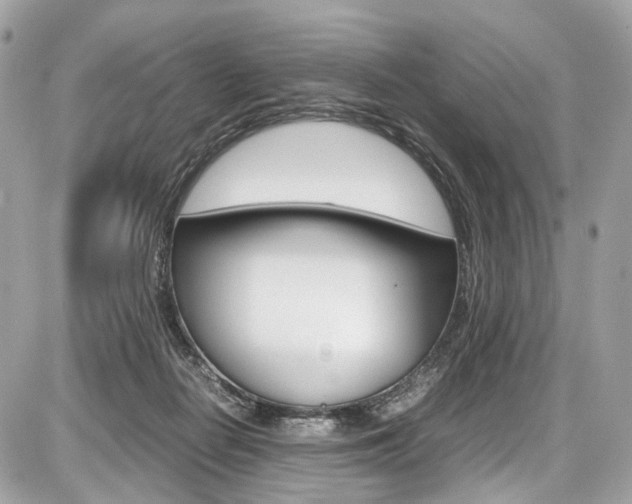 X0000087010266200704161315