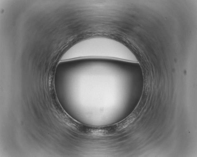 X0000087010268200704161315