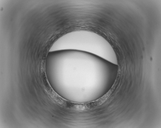 X0000087010272200704161315