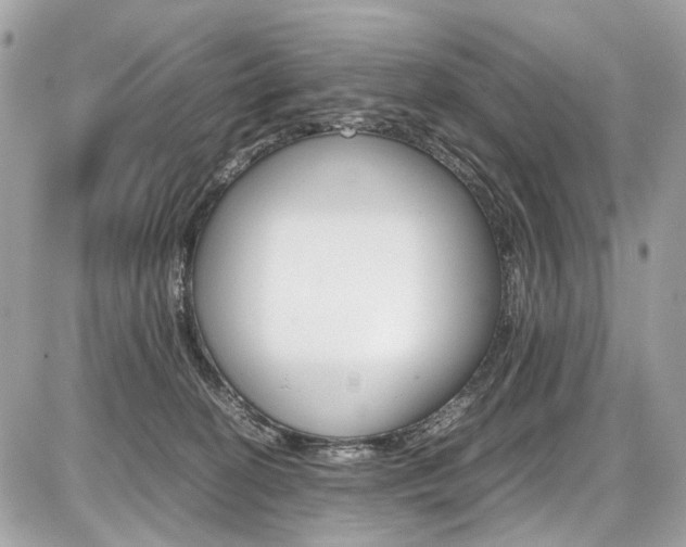 X0000087010274200704161315